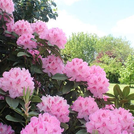 Le Clos Des Roses Saint-Règle Εξωτερικό φωτογραφία