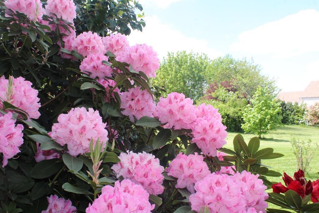 Le Clos Des Roses Saint-Règle Εξωτερικό φωτογραφία